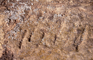 Background of sandstone rock