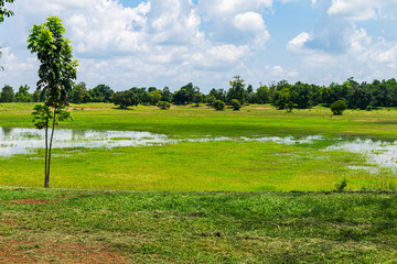 The photo of the meadow and cloudy blue sky