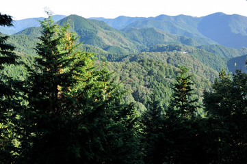 伊豆ヶ岳より正丸山方面の山並みを望む