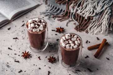 Two glasses of hot cocoa with marshmallows and chocolate chips on a background of scattered cloves, chocolate, star anise and cinnamon, with a book and a blanket in the background