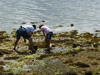 Shellfish in Galicia