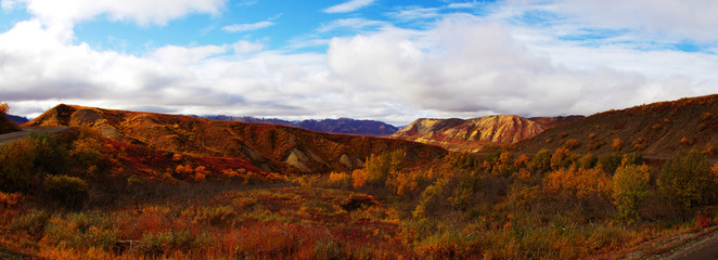Indian Summer in Denali Nationapark