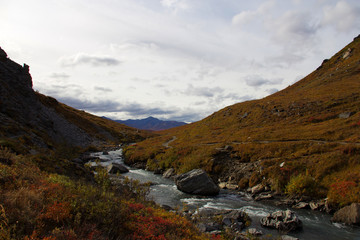 Fototapeta na wymiar Landschaft in Alaska Denali Nationalpark