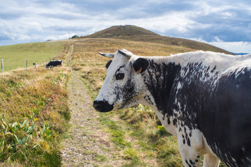 Sentier vers le Hofneck