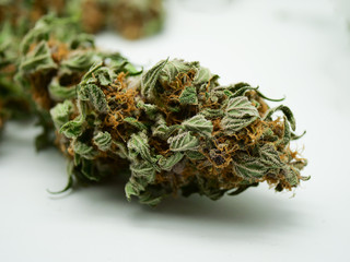 cannabis bud, close up, macro shot, marijuana, weed