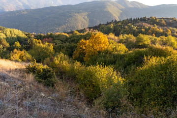 Autumn Landscape of Rhodope Mountains near Village of Lyaskovo, Bulgaria