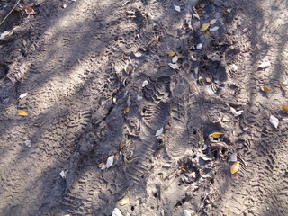 Tatrzański Park Narodowy - szlak na Czerwone Wierchy