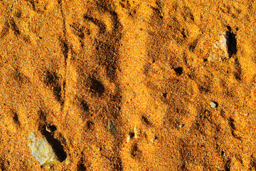 yellow sand background