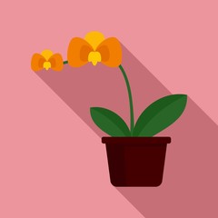 Orange orchid icon. Flat illustration of orange orchid vector icon for web design
