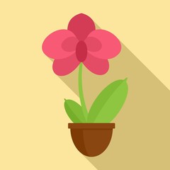 Decoration orchid icon. Flat illustration of decoration orchid vector icon for web design