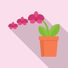 Branch orchid icon. Flat illustration of branch orchid vector icon for web design