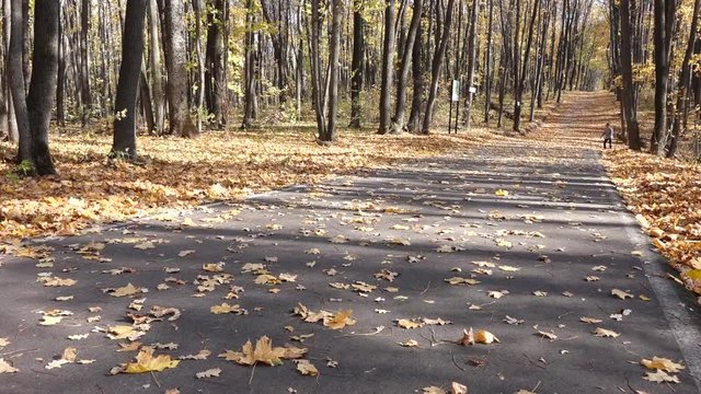 a man climbs on a longboard uphill on the asphalt covered with leaves.