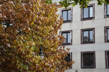 Radom , ulica Żeromskiego , kamienice w Radomiu , stare kamienice , Radom  , ulice w Radomiu , kościół Radom , Żeromski , Radom architektura , historyczny Radom , kamienice , ulice Radom  © Szymon