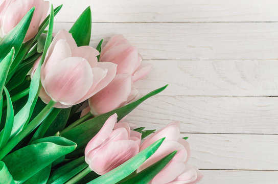 Bouquet of pink tulips on white wooden boards. Copy space. Flat lay. Toned image. Horizontal