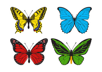 Fototapeta na wymiar Butterfly set: Papilio machaon, Morpho didius, Danaus plexippus, Ornithoptera priamus.