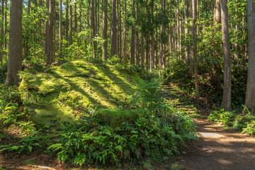 熊野古道・大雲取越