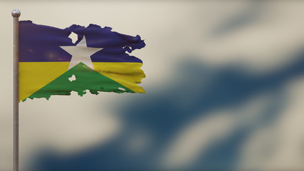 Rondonia 3D tattered waving flag illustration on Flagpole.