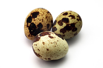 quail eggs on a white background close-up