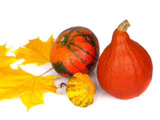 Three pumpkins and yellow autumn leaves isolated on white