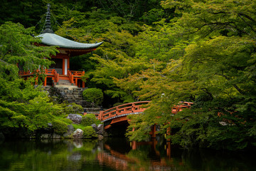 京都　新緑の醍醐寺と夏の景色