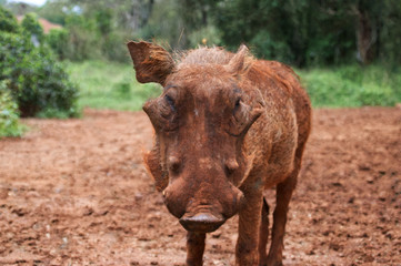 Fototapeta premium Reisefotos