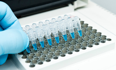 A researcher put a strip of 8 PCR tubes on the thermal cycler for DNA amplification
