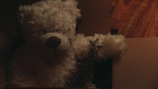 wool bear miniature fir tree paper box