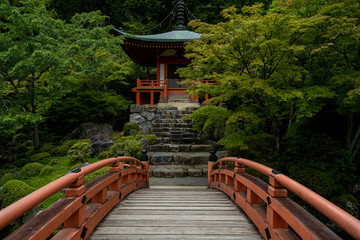 京都　新緑の醍醐寺と夏の景色