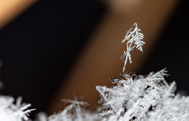 winter photo of snowflakes in the snow