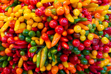 Different types of peppers