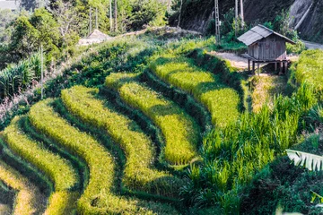 Gartenposter Mu Cang Chai Querformat von Reisfeldern im Distrikt Mu Cang Chai, VIetnam