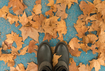 Feet stepping on dry autumn leaves