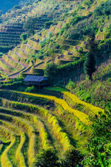 Landscape view of rice fields in Mu Cang Chai District, VIetnam