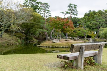 Obraz premium 奈良公園 