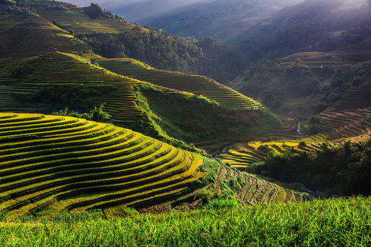 Landscape view of rice fields in Mu Cang Chai District, VIetnam