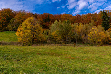 Autumn landscape with trees and blue sky