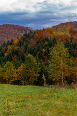 Autumn in the mountains with colorful trees