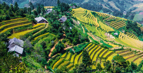 Landschapsmening van rijstvelden in Mu Cang Chai District, Vietnam