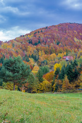 Polish autumn in the mountains