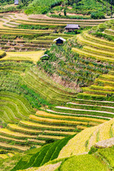 Landscape view of rice fields in Mu Cang Chai District, VIetnam