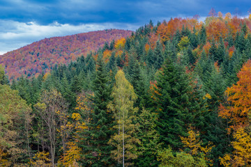 Autumn landscape in Mountains and blue sky in Poland