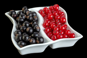 Black and red currant berries closeup