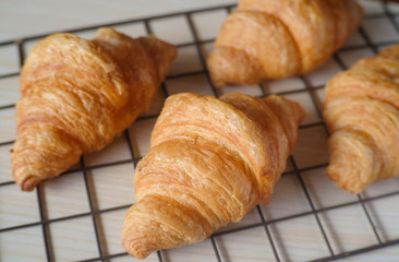 Close up Fresh croissant on grille. Tasty buttery croissants.