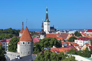 Obraz premium Tallinn, Estonia. View from Patkuli viewing platform over the Lower Town with St. Olaf's Church, Transfiguration Cathedral and towers of Tallinn City Wall.