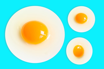 Two Organic round  (White eggs and  yolk )of chicken Cooked high protein good for health decorative isolated on pastel light blue  background texture close-up