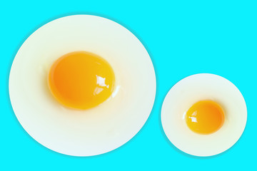 Two Organic round  (White eggs and  yolk )of chicken Cooked high protein good for health decorative isolated on pastel light blue  background texture close-up