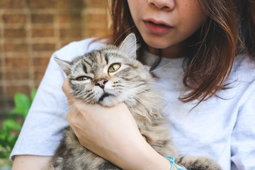 Young Asian woman playing with her persian cat, human-animal relationships.