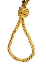 Deadly loop of rope isolated on white background. Concept of death penalty or suicide
