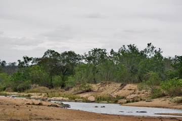 Landscape of a river bed in the kruger national park, south africa