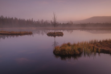 Early morning lake